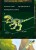 Klocki WOMA C0446-DS. Dinozaur Velociraptor