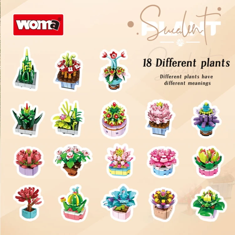 Klocki WOMA 8844-DS.  Rośliny sukulentowe