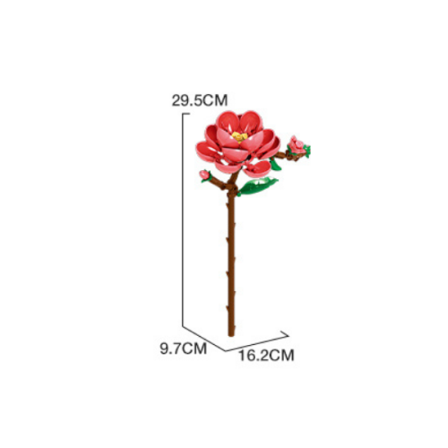 11543_CAM.png