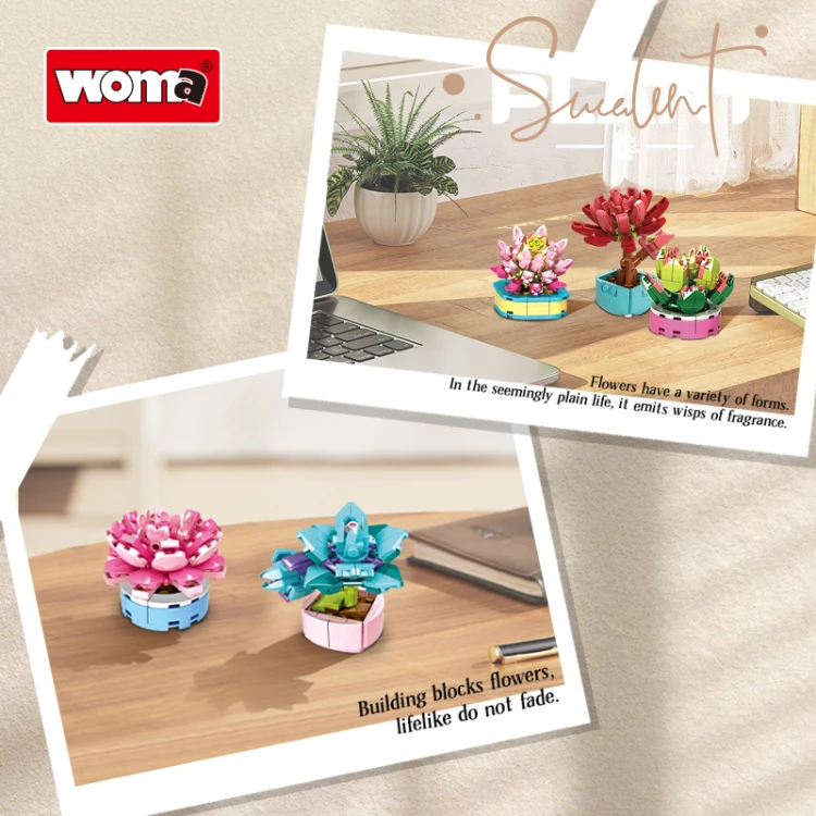 8844 (7).jpg